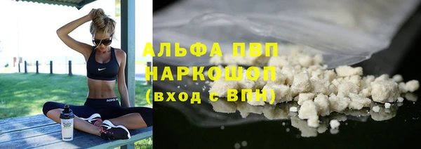 крисы Алексин
