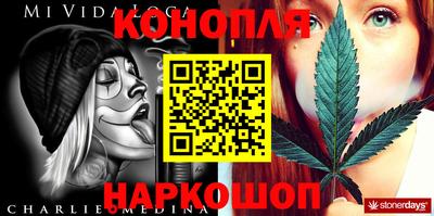 стаф Лесосибирск