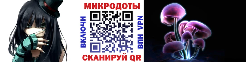 Галлюциногенные грибы Psilocybe  закладка  Котовск 