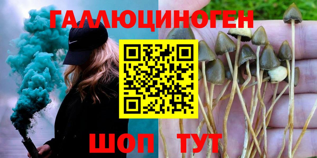 Галлюциногенные грибы MAGIC MUSHROOMS  Вход с VPN  Псилоцибиновые грибы мухоморы  Котовск 