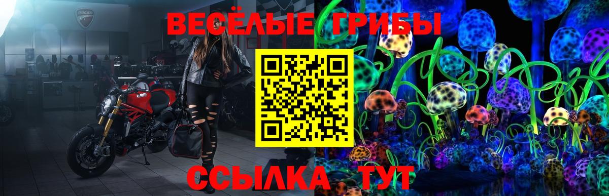 Галлюциногенные грибы мицелий Котовск