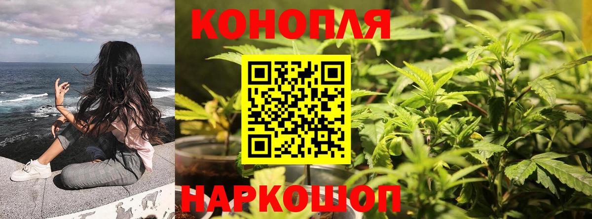Марихуана SATIVA & INDICA  Каннабис план  Вход с VPN  МАРИХУАНА семена  Котовск 